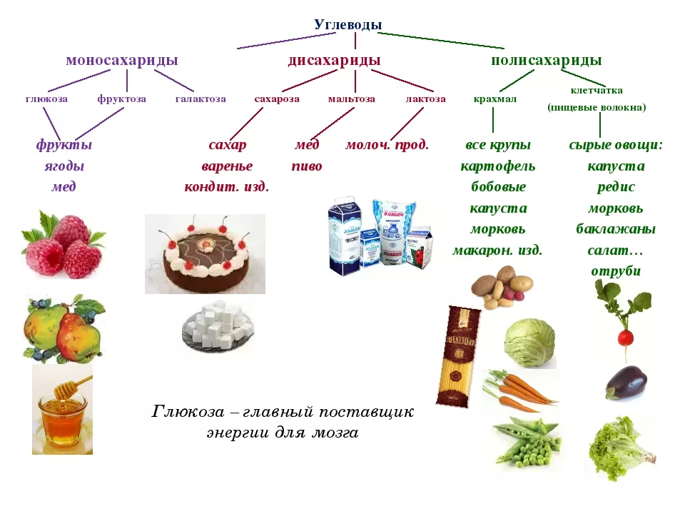 Углеводы в медицине картинки