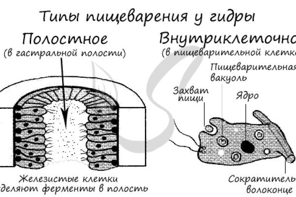 Как зайти на площадку кракен